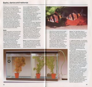 Fish breeding by dr chris andrews