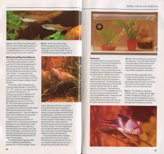 Fish breeding by dr chris andrews