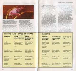 Fish breeding by dr chris andrews