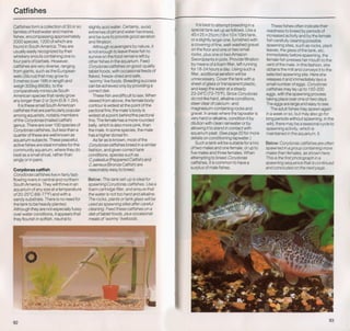 Fish breeding by dr chris andrews