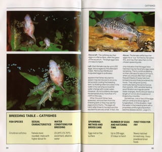 Fish breeding by dr chris andrews