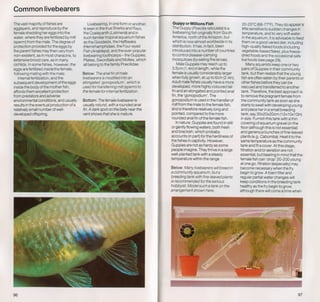 Fish breeding by dr chris andrews