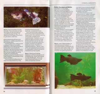 Fish breeding by dr chris andrews