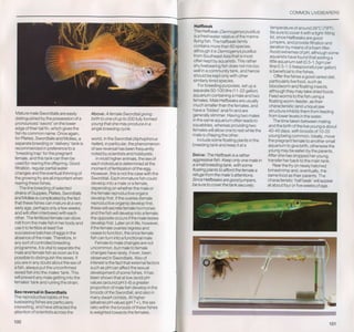 Fish breeding by dr chris andrews