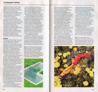 Fish breeding by dr chris andrews