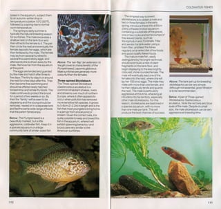 Fish breeding by dr chris andrews