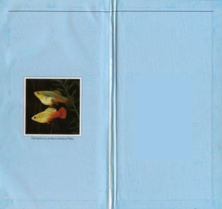 Fish breeding by dr chris andrews