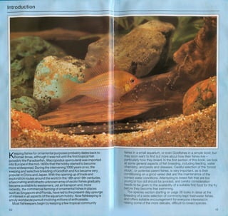 Fish breeding by dr chris andrews