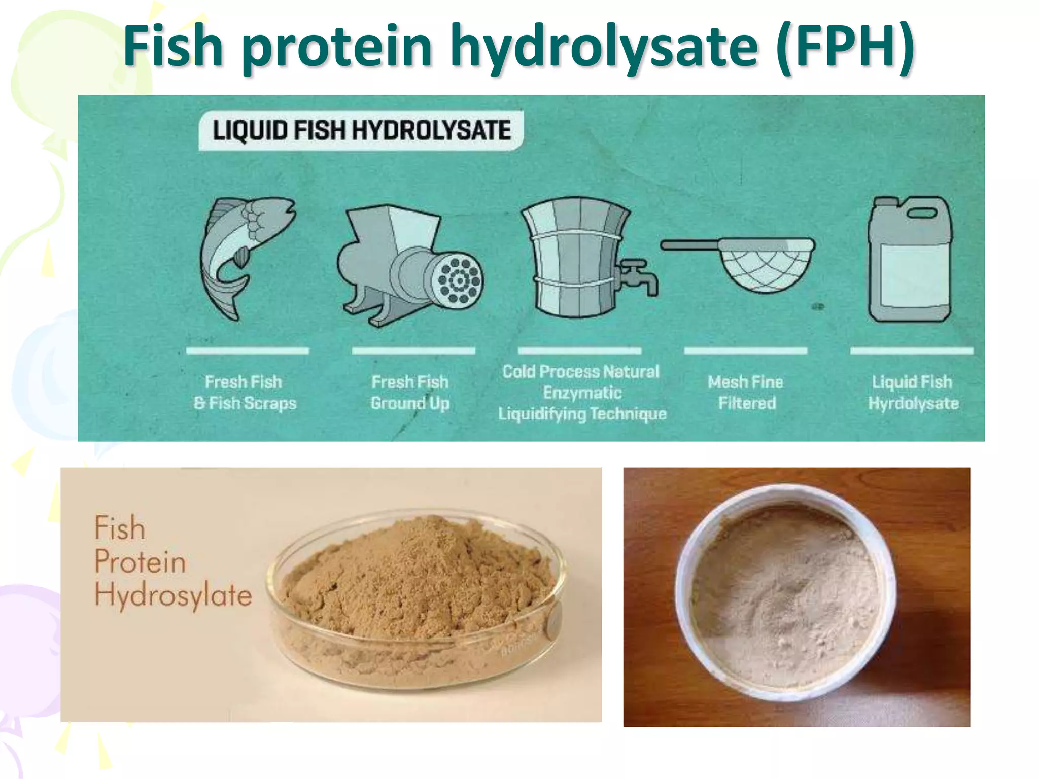 Fish By-products | PPTX