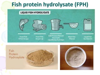 Fish protein hydrolysate (FPH)
 