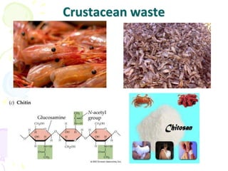 Crustacean waste
 
