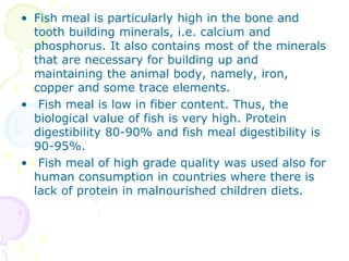 • Fish meal is particularly high in the bone and
tooth building minerals, i.e. calcium and
phosphorus. It also contains most of the minerals
that are necessary for building up and
maintaining the animal body, namely, iron,
copper and some trace elements.
• Fish meal is low in fiber content. Thus, the
biological value of fish is very high. Protein
digestibility 80-90% and fish meal digestibility is
90-95%.
• Fish meal of high grade quality was used also for
human consumption in countries where there is
lack of protein in malnourished children diets.
 