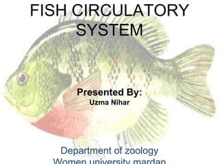 FISH CIRCULATORY
SYSTEM
Presented By:
Uzma Nihar
Department of zoology
 
