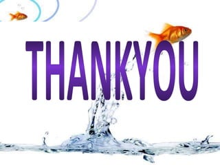 Fish Circulatory System by uzma nihar