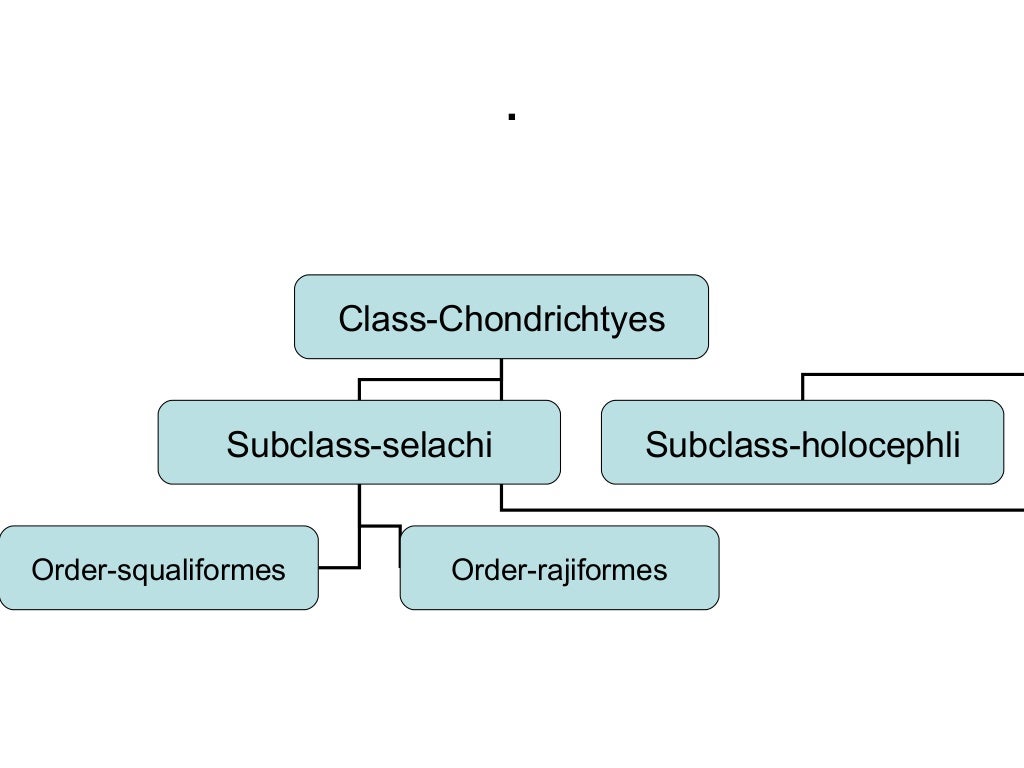 Fish classification by deepak rawal