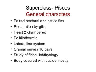 Fish classification | PPTX