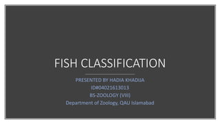 FISH CLASSIFICATION
PRESENTED BY HADIA KHADIJA
ID#04021613013
BS-ZOOLOGY (VIII)
Department of Zoology, QAU Islamabad
 