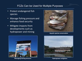 Fish conservation zones as tools for fisheries management and ...