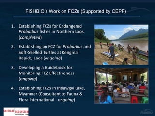 Fish conservation zones as tools for fisheries management and ...