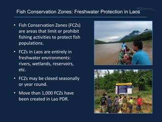 Fish conservation zones as tools for fisheries management and ...