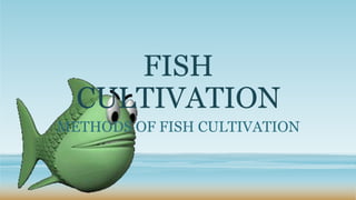 FISH
CULTIVATION
METHODS OF FISH CULTIVATION
 