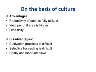 On the basis of culture
 Advantages:
• Productivity of pond is fully utilized
• Yield per unit area is higher
• Less risky
 Disadvantages:
• Cultivation practices is difficult
• Selective harvesting is difficult
• Costly and labor intensive
 