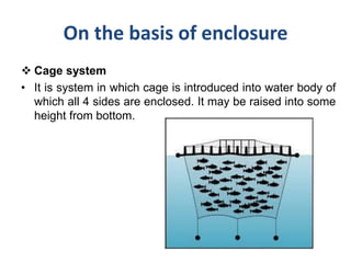 On the basis of enclosure
 Cage system
• It is system in which cage is introduced into water body of
which all 4 sides are enclosed. It may be raised into some
height from bottom.
 