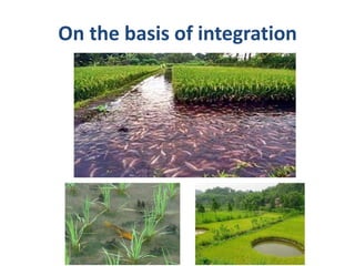 On the basis of integration
 