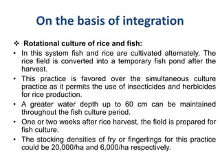 On the basis of integration
 Rotational culture of rice and fish:
• In this system fish and rice are cultivated alternately. The
rice field is converted into a temporary fish pond after the
harvest.
• This practice is favored over the simultaneous culture
practice as it permits the use of insecticides and herbicides
for rice production.
• A greater water depth up to 60 cm can be maintained
throughout the fish culture period.
• One or two weeks after rice harvest, the field is prepared for
fish culture.
• The stocking densities of fry or fingerlings for this practice
could be 20,000/ha and 6,000/ha respectively.
 