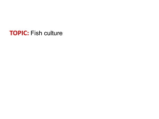 TOPIC: Fish culture
 