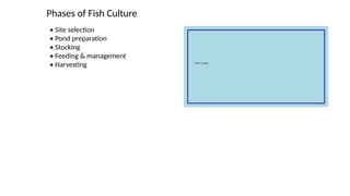 Phases of Fish Culture
• Site selection
• Pond preparation
• Stocking
• Feeding & management
• Harvesting
 