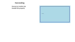 Harvesting
Harvest at market size
Handle fish properly
 