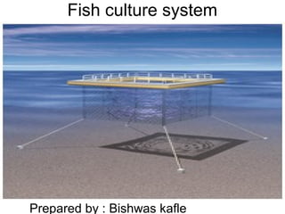 Fish culture system
Prepared by : Bishwas kafle
 