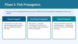 Comprehensive Guide to Fish Culture: Cultivation, Propagation, and ...