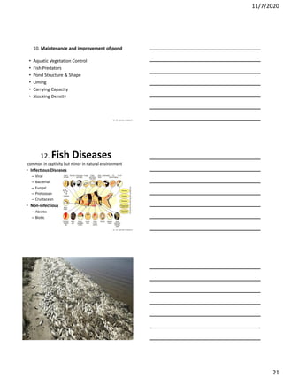 11/7/2020
21
Dr. M. Samee Mubarik
10. Maintenance and improvement of pond
• Aquatic Vegetation Control
• Fish Predators
• Pond Structure & Shape
• Liming
• Carrying Capacity
• Stocking Density
Dr. M. Samee Mubarik
12. Fish Diseases
common in captivity but minor in natural environment
• Infectious Diseases
– Viral
– Bacterial
– Fungal
– Protozoan
– Crustacean
• Non-infectious
– Abiotic
– Biotic
Dr. M. Samee Mubarik
 