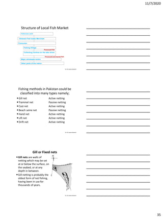 11/7/2020
35
Dr. M. Samee Mubarik
Structure of Local Fish Market
Fisherman catch
Itinerant Fish trader Merchant
Consumer
Fishing Village
Collecting Centres on the lake shore
Major wholesale centre
Other parts of the nation
Processed Fish
Processed and stored Fish
Dr. M. Samee Mubarik
Fishing methods in Pakistan could be
classified into many types namely;
Gill net Active netting
Trammel net Passive netting
Cast net Active netting
Beach seine net Passive netting
Hand net Active netting
Lift net Active netting
Drift net Active netting
Dr. M. Samee Mubarik
Gill or Fixed nets
Gill nets are walls of
netting which may be set
at or below the surface, on
the seabed, or at any
depth in between.
Gill netting is probably the
oldest form of net fishing,
having been in use for
thousands of years.
 