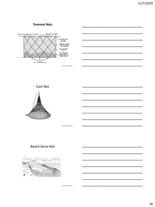 11/7/2020
36
Dr. M. Samee Mubarik
Trammel Nets
Dr. M. Samee Mubarik
Cast Net
Dr. M. Samee Mubarik
Beach Seine Net
 