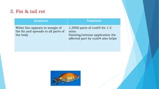 3. Fin & tail rot
Symptoms Treatment
White line appears in margin of
the fin and spreads to all parts of
the body
1,2000 parts of cus04 for 1-2
mins
Painting/intense application the
affected part by cus04 also helps
 