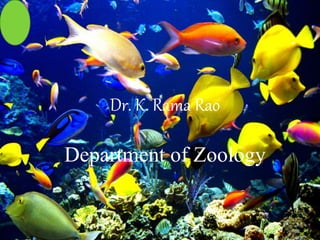 Dr. K. Rama Rao
Department of Zoology
 