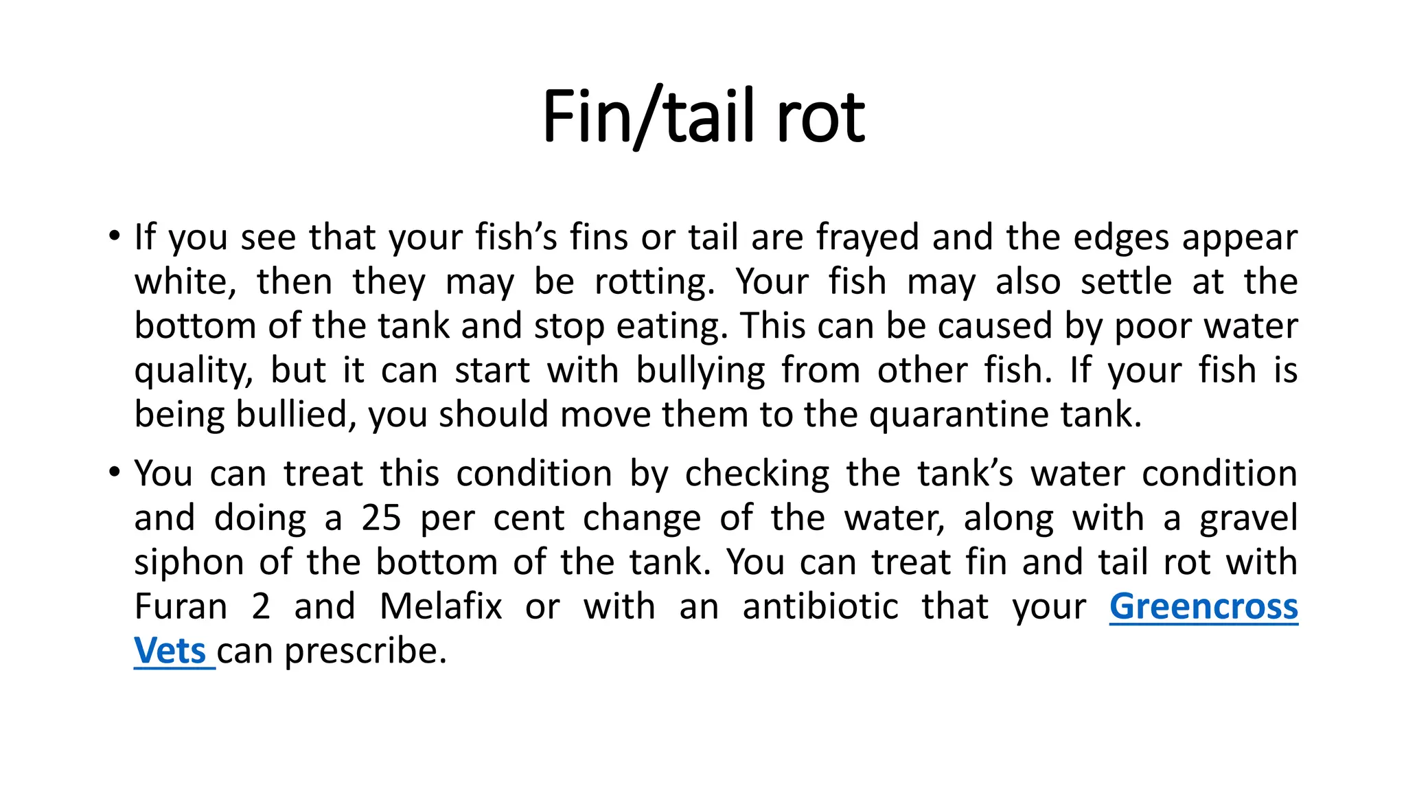 An Overview of Fish Diseases in India.pptx