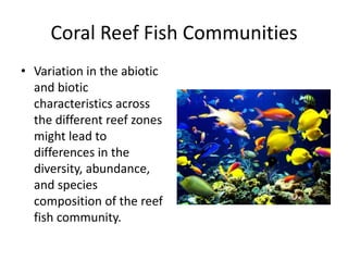 Fish Ecology Research Project | PPTX