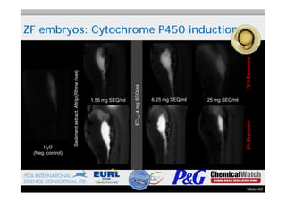Fish Embryo Webinar on toxicity and teratogenicity | PDF