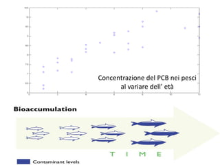 Concentrazione del PCB nei pesci
al variare dell’ età
 