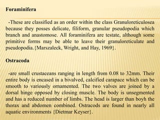 Foraminifera

 -These are classified as an order within the class Granuloreticulosea
because they posses delicate, filiform, granular pseudopodia which
branch and anastomose. All foraminifera are testate, although some
primitive forms may be able to leave their granuloreticulate and
pseudopodia.{Marszaleck, Wright, and Hay, 1969}.

Ostracoda

 -are small crustaceans ranging in length from 0.08 to 32mm. Their
entire body is encased in a bivalved, calcified carapace which can be
smooth to variously ornamented. The two valves are joined by a
dorsal hinge opposed by closing muscle. The body is unsegmented
and has a reduced number of limbs. The head is larger than boyh the
thorax and abdomen combined. Ostracods are found in nearly all
aquatic environments {Dietmar Keyser}.
 