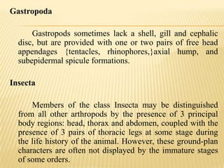Gastropoda

      Gastropods sometimes lack a shell, gill and cephalic
  disc, but are provided with one or two pairs of free head
  appendages {tentacles, rhinophores,}axial hump, and
  subepidermal spicule formations.

Insecta

      Members of the class Insecta may be distinguished
  from all other arthropods by the presence of 3 principal
  body regions: head, thorax and abdomen, coupled with the
  presence of 3 pairs of thoracic legs at some stage during
  the life history of the animal. However, these ground-plan
  characters are often not displayed by the immature stages
  of some orders.
 