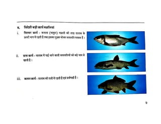 Fisheries मछली पालन  - क्यों और कैसे CIFE Mumbai