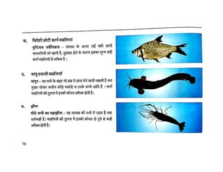 Fisheries मछली पालन  - क्यों और कैसे CIFE Mumbai