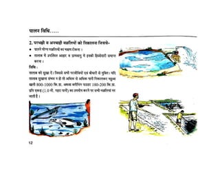 Fisheries मछली पालन  - क्यों और कैसे CIFE Mumbai