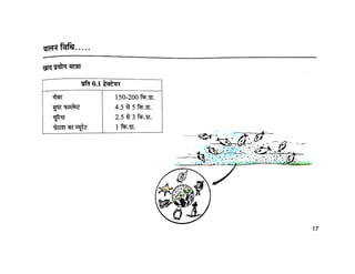 Fisheries मछली पालन  - क्यों और कैसे CIFE Mumbai