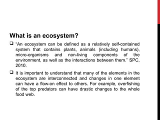 Fisheries-management-and-the-ecosystem.pptx